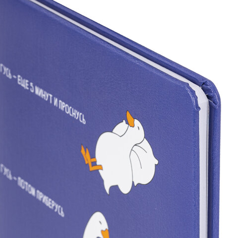 Дневник 1-11 класс 48 л., кожзам (твердая с поролоном), печать, ляссе с аппликацией, BRAUBERG, «Гуси»