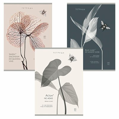 Тетрадь А4 80 л. ПЗБМ, скоба, клетка, Soft Touch, брайль, «Латынь» (микс в спайке)