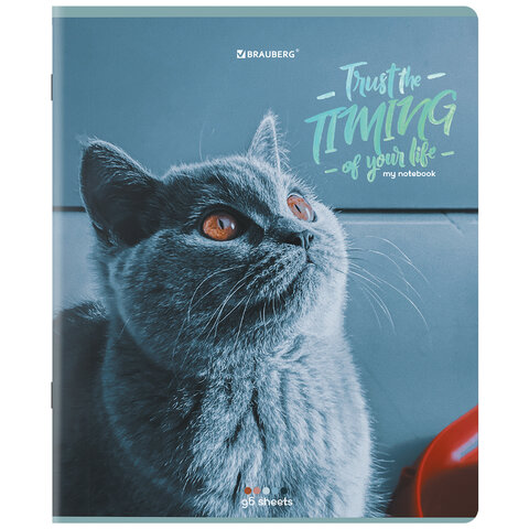 Тетради ДЭК А5 96 л. КОМПЛЕКТ 5 шт., BRAUBERG скоба, клетка, матовая ламинация, «Котики»