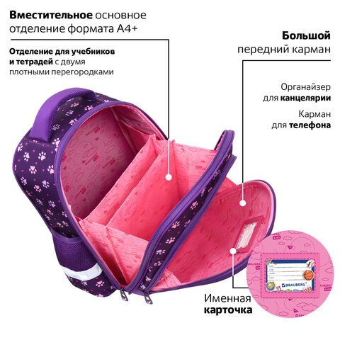 Ранец BRAUBERG KIDS STANDARD, 2 отделения, «Playing kittens», 36×28х14 см