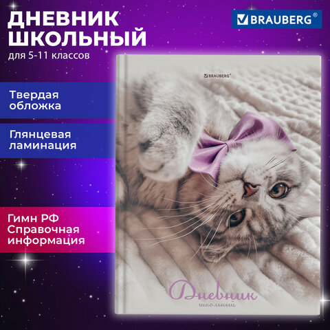 Дневник 5-11 класс 48 л., твердый, BRAUBERG, глянцевая ламинация, с подсказом, «Котик»