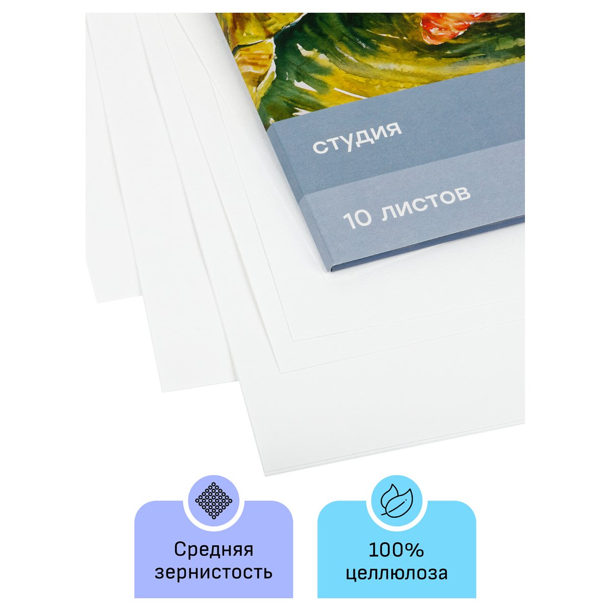 Папка для акварели, 10л., А3, Гамма «Студия», 200г/м2, среднее зерно