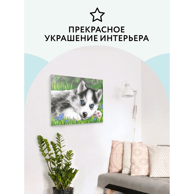 Картина по номерам на картоне ТРИ СОВЫ «Голубоглазый пушистик», 30×40, с акриловыми красками и кистями
