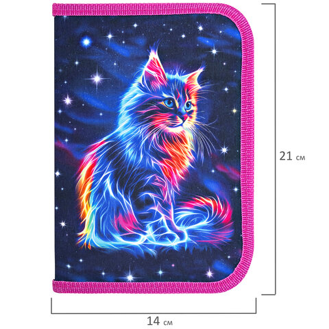 Пенал BRAUBERG, 1 отделение, полиэстер, 21×14 см, «Space cat»