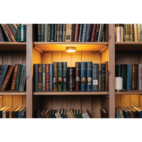 Сейф-книга «Приключения Шерлока Холмса», 57×130×185 мм, ключевой замок, BRAUBERG, 291056