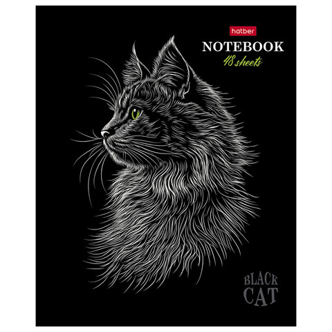 Тетрадь А5, 48 л., HATBER, скоба, клетка, матовая ламинация, 3D-лак, «Black Cat» (микс в спайке), 093159