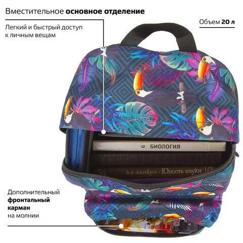 Рюкзак BRAUBERG, универсальный, сити-формат, «Туканы», 20 литров, 41×32х14 см