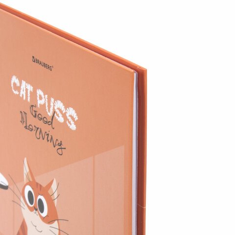 Дневник 1-11 класс 40 л., твердый, BRAUBERG, глянцевая ламинация, «Cute cat»