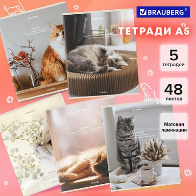 Тетради ДЭК А5 48 л. КОМПЛЕКТ 5 шт. BRAUBERGклеткаматовая ламинация«Cats»404673