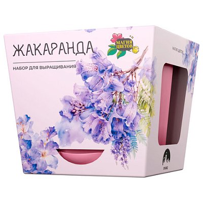 Набор для выращивания растений МАГИЯ ЦВЕТОВ «Жакаранда (фиалковое дерево)» (горшок, грунт, семена)