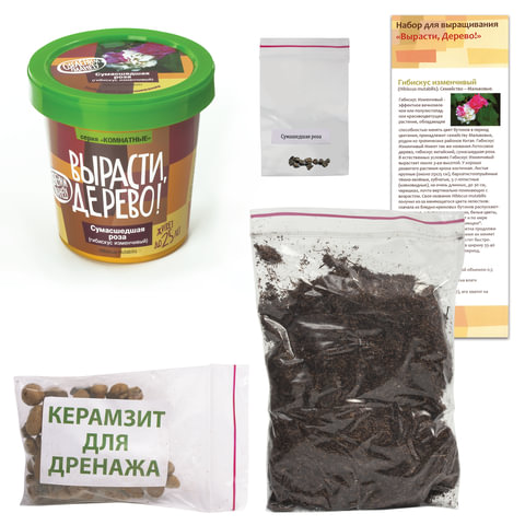 Набор для выращивания растений ВЫРАСТИ ДЕРЕВО! «Сумасшедшая роза» (банка, грунт, семена)