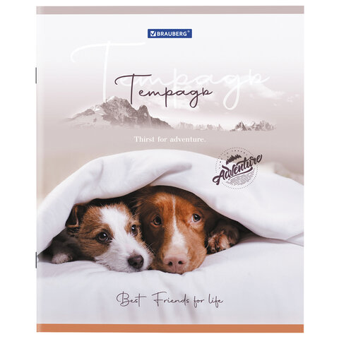 Тетрадь А5 48 л. BRAUBERG скоба, клетка, обложка картон, «Best Friends»