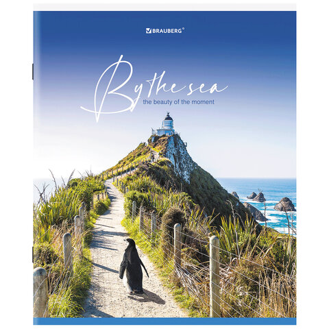 Тетрадь А5, 80 л., BRAUBERG, скоба, клетка, «By the Sea»