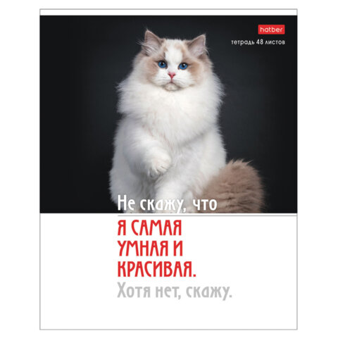 Тетрадь А5 48 л., HATBER скоба, клетка, обложка картон, «Котоюмор» (микс в спайке), 079790