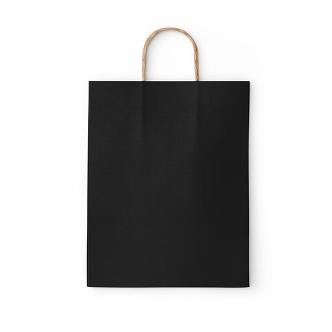 Крафт-пакет бумажный «Black» 26×15х35 см, с кручеными ручками, плотность 80 г/м2, моноцвет