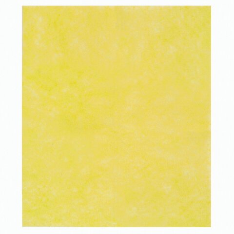 Салфетки универсальные ЛАЙМА, комплект 5 шт., вискоза, 30×38 см
