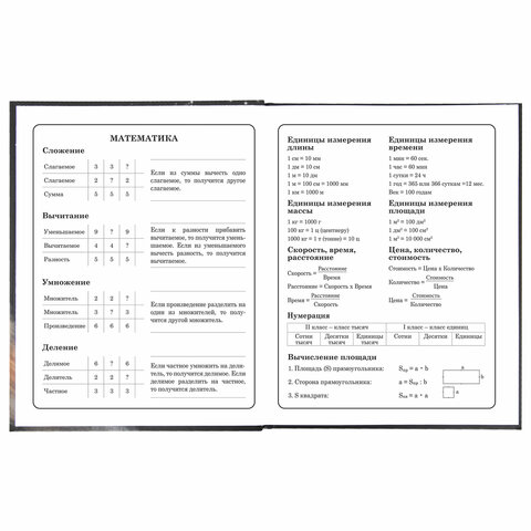 Дневник 1-4 класс 48 л., твердый, BRAUBERG, блестки, с подсказом, «Котик»