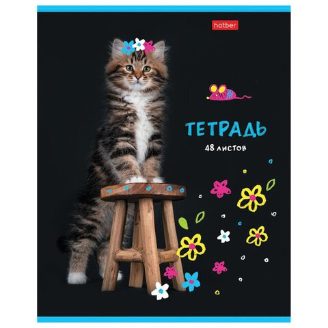 Тетрадь А5 48 л. HATBER скоба, клетка, глянцевая ламинация, «МУРчат Коты» (5 видов в спайке)