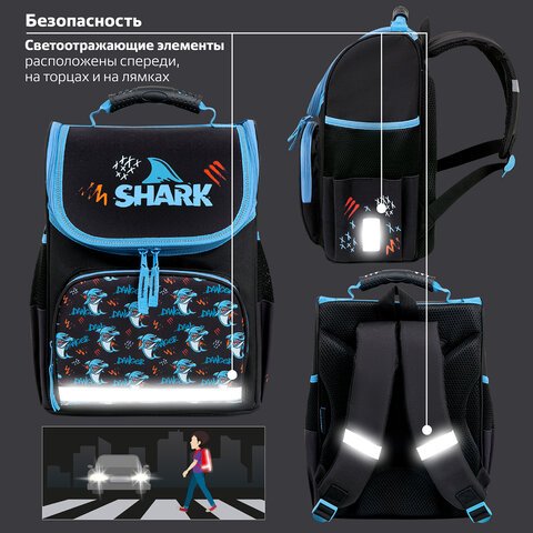 Ранец ПИФАГОР BASIC, 1 отделение, 3 кармана, эргономичная спинка, «Angry shark», 35×28х18 см