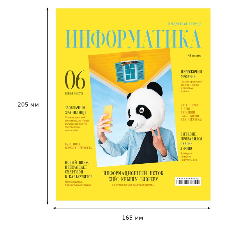 Тетрадь предметная 48л. BG «Скандальности» - Информатика, глянцевая ламинация