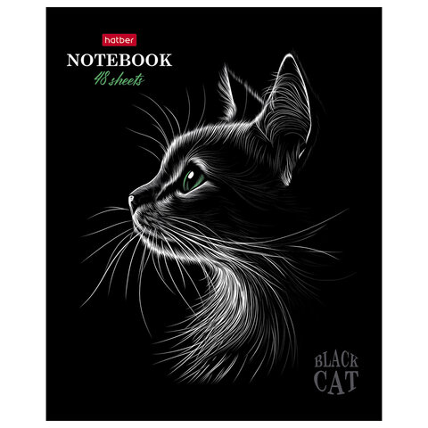 Тетрадь А5, 48 л., HATBER, скоба, клетка, матовая ламинация, 3D-лак, «Black Cat» (микс в спайке), 093159