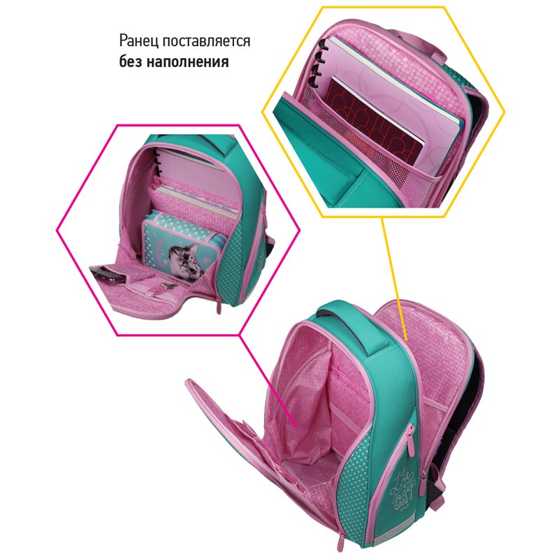 Ранец Berlingo Nova «Curious cat» 37×28×18см, 2 отделения, 2 кармана, анатомическая спинка