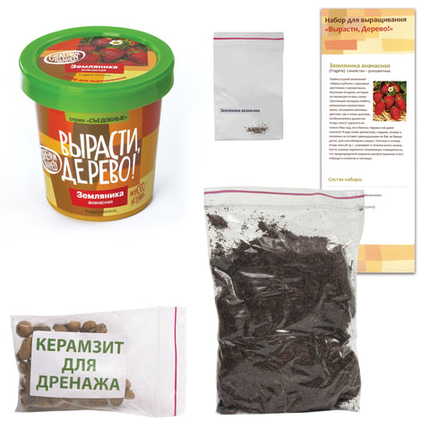 Набор для выращивания растений ВЫРАСТИ ДЕРЕВО! «Земляника ананасная» (банка, грунт, семена)