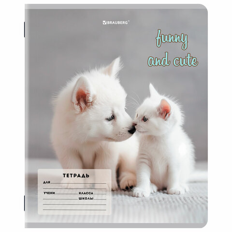 Тетрадь 12 л. BRAUBERG косая линия, обложка картон, CATS AND DOGS