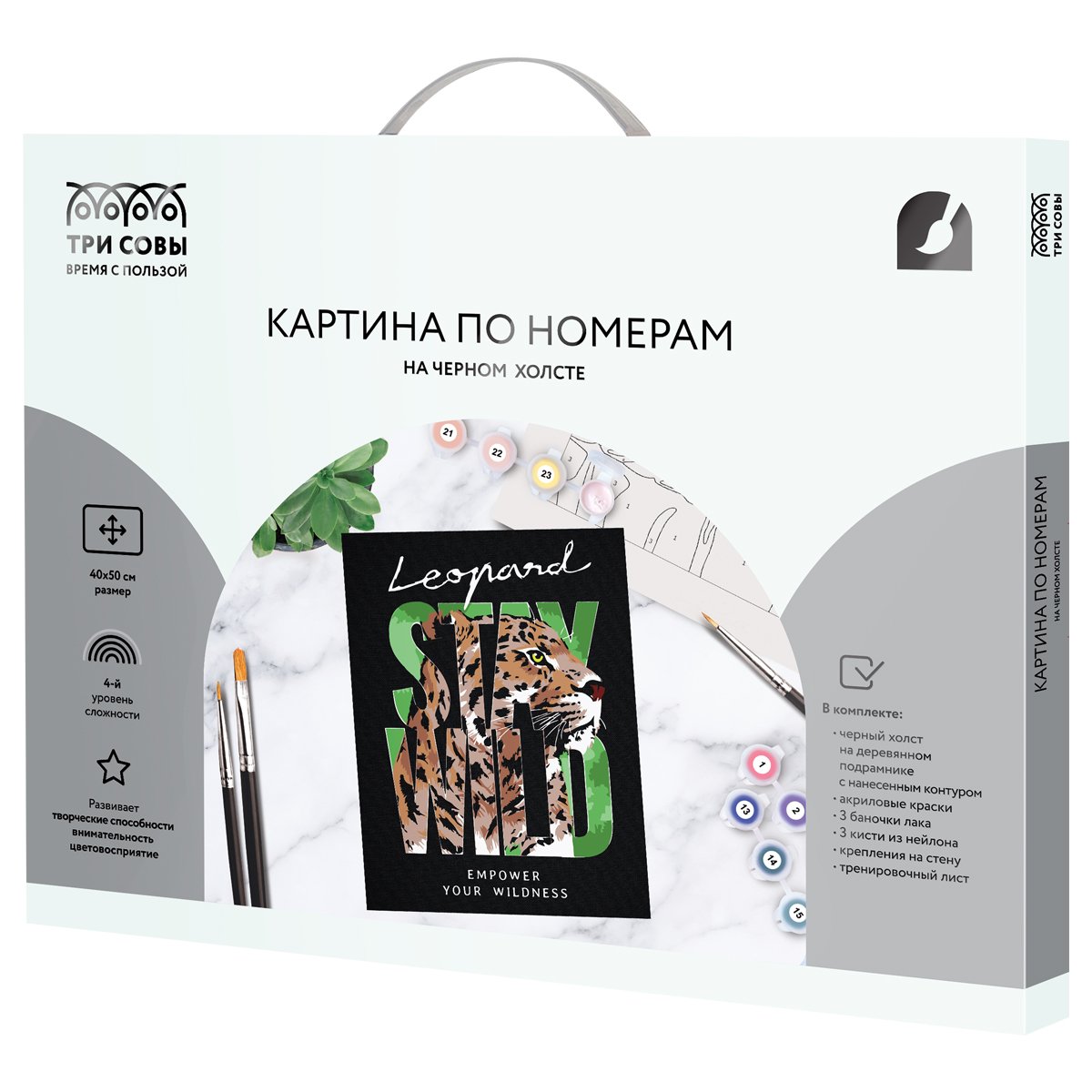 Картина по номерам на черном холсте ТРИ СОВЫ «Оставайся диким», 40×50, c акриловыми красками и кистями