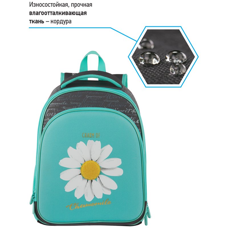 Ранец Berlingo Expert Plus «Chamomile» 38×29×15см, 2 отделения, 2 кармана, анатомическая спинка