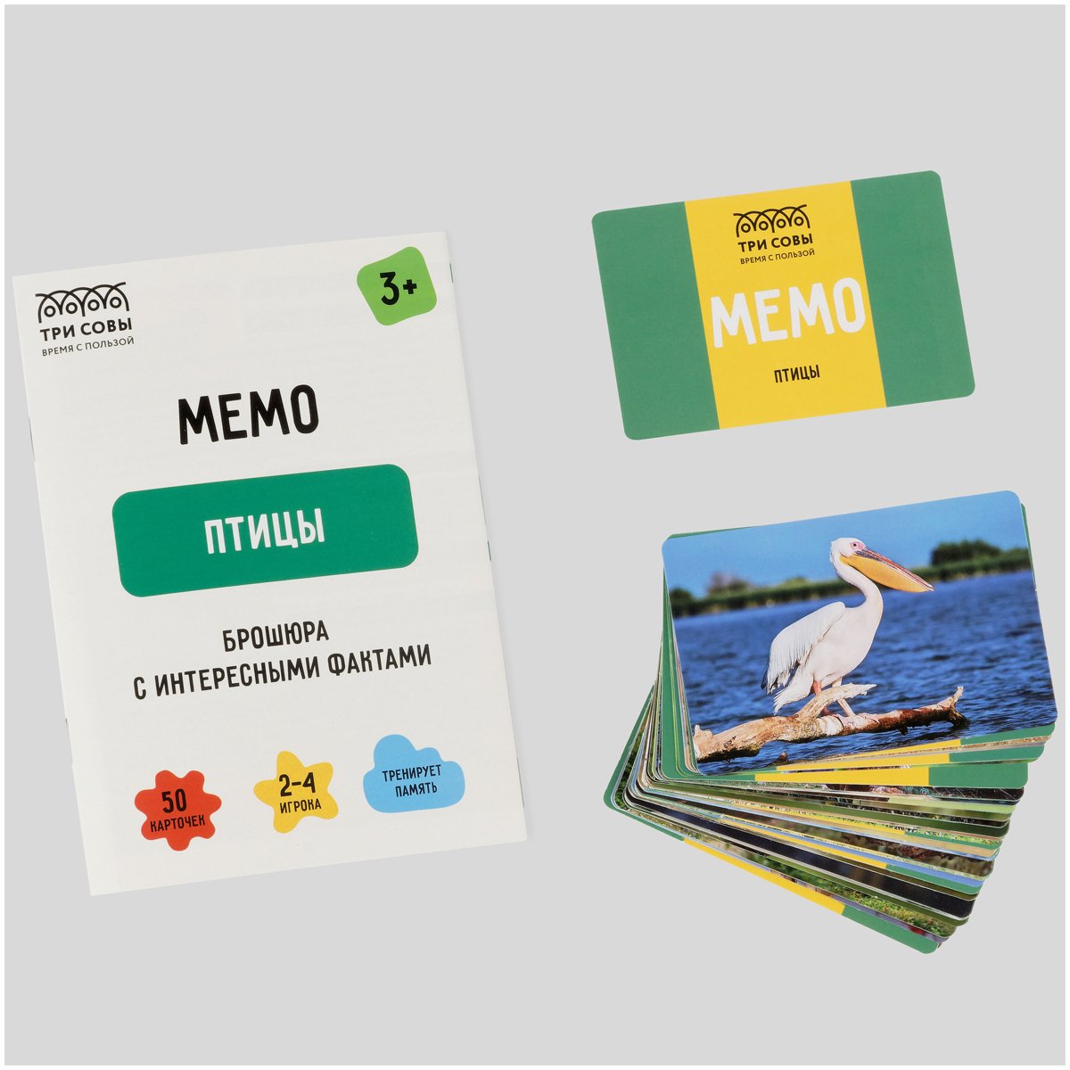 Игра настольная ТРИ СОВЫ «Мемо. Птицы», 50 карточек, картонная коробка
