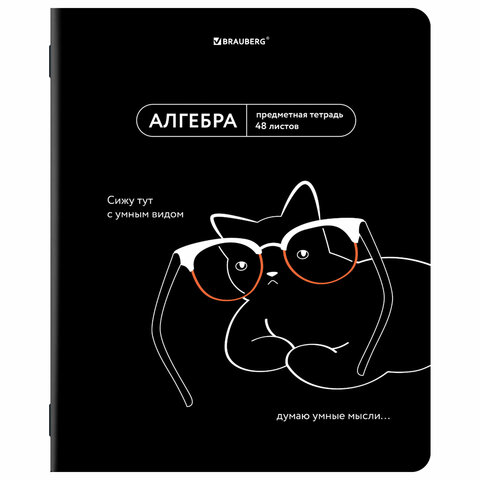 Тетради предметные, КОМПЛЕКТ 12 ПРЕДМЕТОВ, 48 л., TWIN лак, BRAUBERG «МЕМЫ»