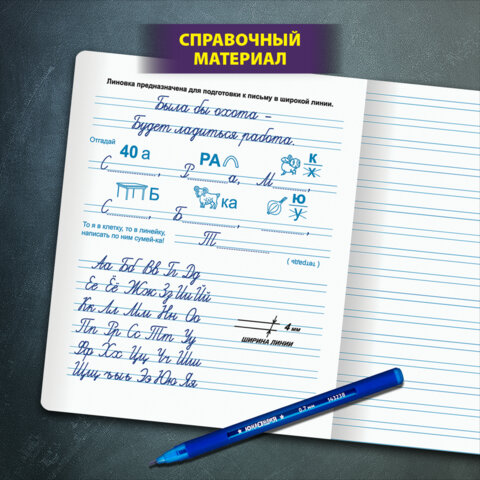Тетради ДЭК 12 л. КОМПЛЕКТ 10 шт. ПРОПИСЬ № 5 узкая линия, со справкой, ЮНЛАНДИЯ