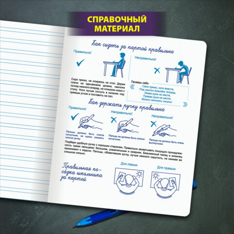 Тетради ДЭК 12 л. КОМПЛЕКТ 10 шт. ПРОПИСЬ № 5 узкая линия, со справкой, ЮНЛАНДИЯ