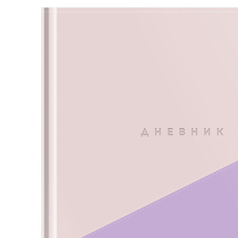 превью Дневник 1-11 кл. 48л. (твердый) ArtSpace «Duo. Фиолет», иск. кожа, тиснение, ляссе