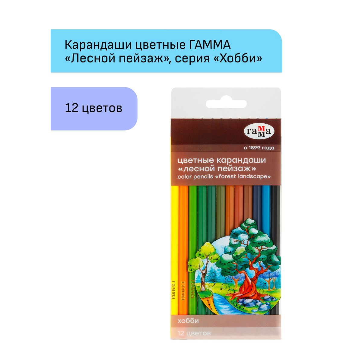 Карандаши цветные Гамма «Хобби. Лесной пейзаж», 12цв., заточен., ПВХ, европодвес