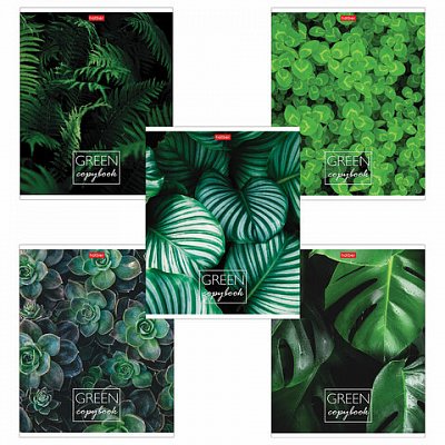 Тетрадь 96л., А5, клетка Hatber «MOREgreen»