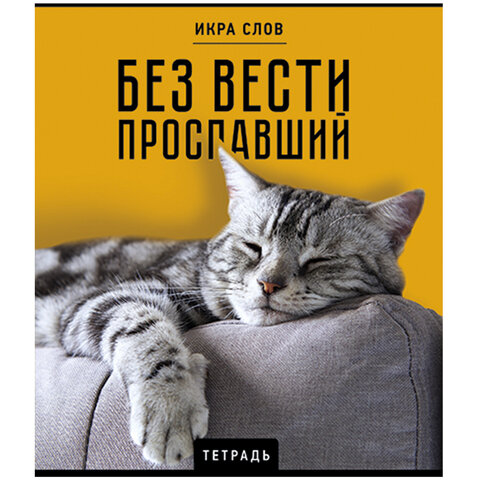 Тетрадь А5 48 л., ПЗБМ, скоба, клетка, конгрев, TWIN-лак, «Икра слов», (5 видов)