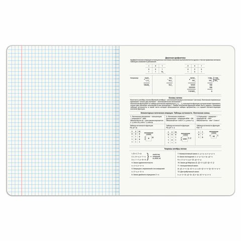 Тетрадь предметная DOG БОБИК 48 л., TWIN-лак, ИНФОРМАТИКА, клетка, подсказ, BRAUBERG