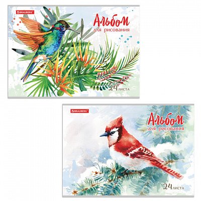 Альбом для рисования А4 24 л., скоба, обложка картон, BRAUBERG, 202×285 мм, «Райские птички» (2 вида), 105609