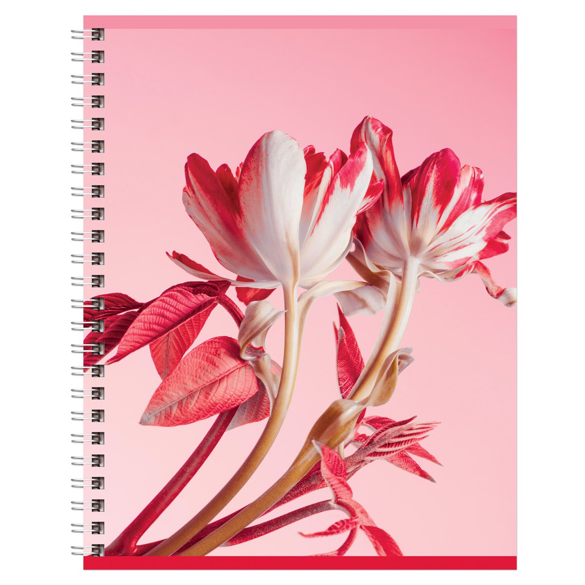 Тетрадь 80л., А5, клетка на гребне BG «Perfect flower», двойная обложка