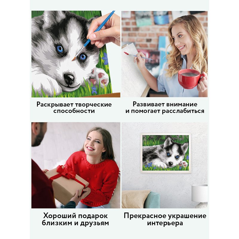 Картина по номерам на картоне ТРИ СОВЫ «Голубоглазый пушистик», 30×40, с акриловыми красками и кистями