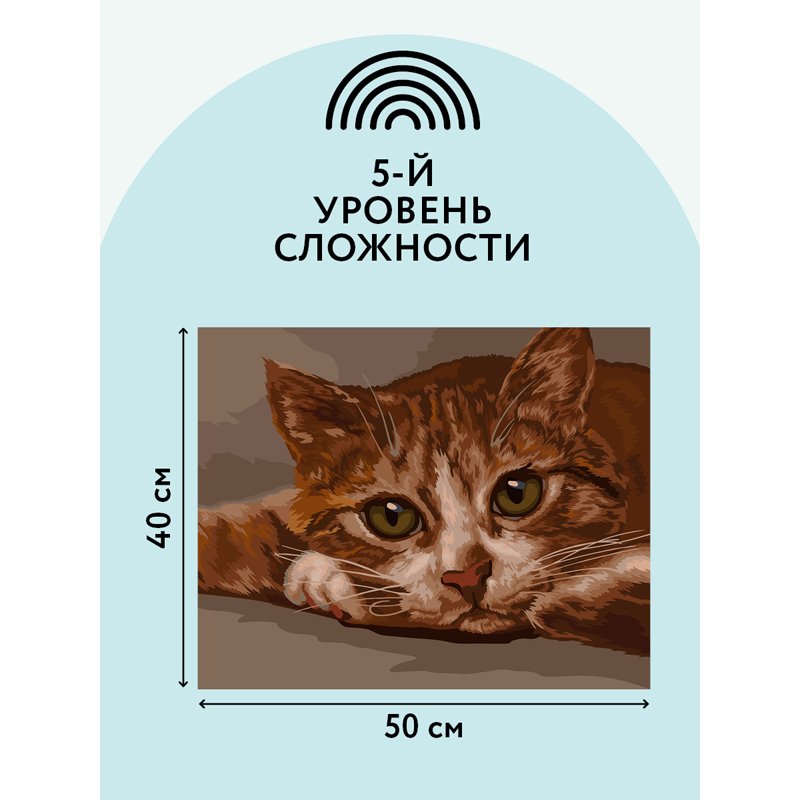Картина по номерам на холсте ТРИ СОВЫ «Рыжик», 40×50, с акриловыми красками и кистями