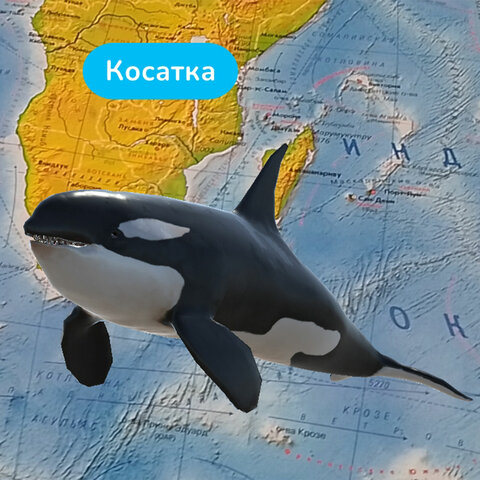 Карта мира физическая 157×107 см, 1:21.5М, с ламинацией, интерактивная, в тубусе, BRAUBERG