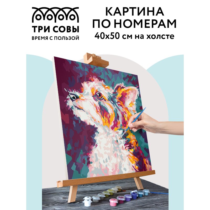 Картина по номерам на холсте ТРИ СОВЫ «Друг», 40×50, с акриловыми красками и кистями