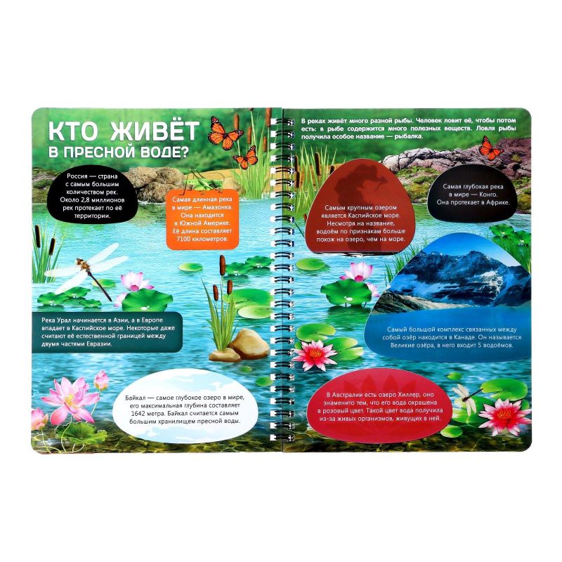 Книга с прозр. стр. Жизнь на земле. Животные и где они обитают 32стр 7090285