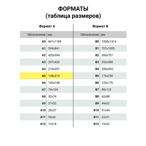 Тетрадь 18 л. HATBER клетка, обложка картон, «Спорт Клуб» (5 видов в спайке)