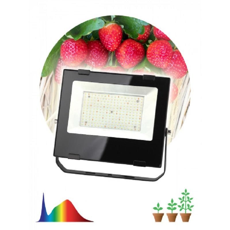 Фитосветильник прожектор для растений ЭРА FITO-100W-Ra90-LED (Б0047876)
