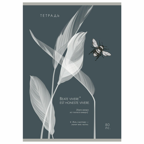 Тетрадь А4 80 л. ПЗБМ, скоба, клетка, Soft Touch, брайль, «Латынь» (микс в спайке)