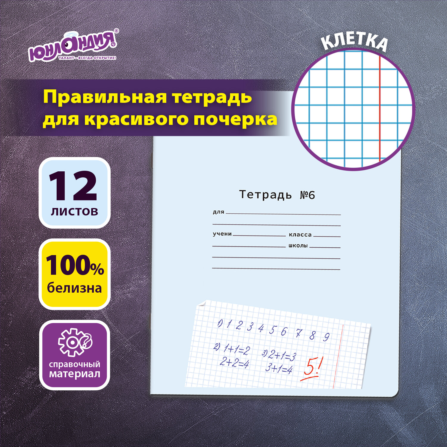 Тетрадь УЧУСЬ ПИСАТЬ № 6 12 л. клетка, со справочным материалом, обложка картон, ЮНЛАНДИЯ